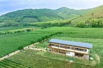 数字化治理新篇章 从宜兴西渚镇网站建设到高塍镇2025年政府网站焦点