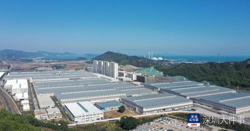 从坪山到深汕 比亚迪新能源乘用车工厂迁址扩建获批，宜兴网站建设助力产业布局