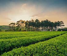 宜兴西渚镇网站建设 探索智慧乡镇发展的新路径与未来展望