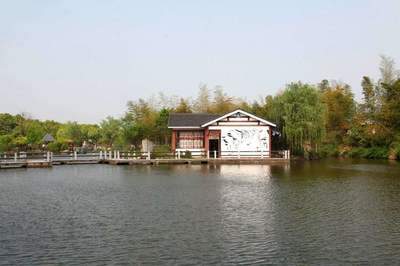 宜兴西渚镇网站建设揭秘与高塍镇人民政府网站2025年2月焦点解析