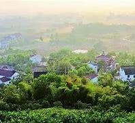 探寻苏西南数字新地标 宜兴西渚镇网站建设与城市信息脉络